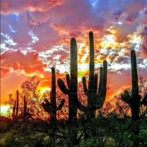 Meet your Posher, Liz